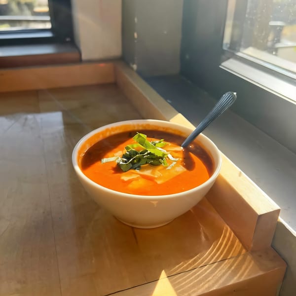 A bowl of tomato soup with basil and cheese, bathed in sunlight by a window.